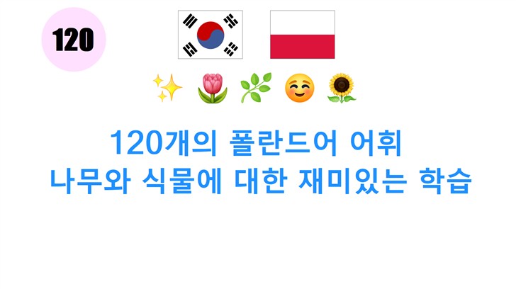 120개의 폴란드어 어휘: 나무와 식물에 대한 재미있는 학습